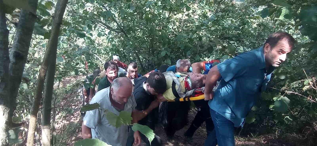 Giresun\'da Fındık Toplayan Kadınlar Yamaçtan Yuvarlandı