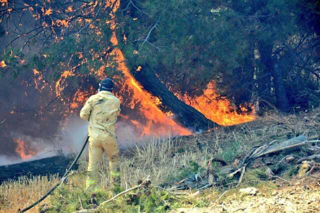 Hakkınız ödenmez! Çanakkale yangınında ekiplerin zorlu mücadelesi kamerada