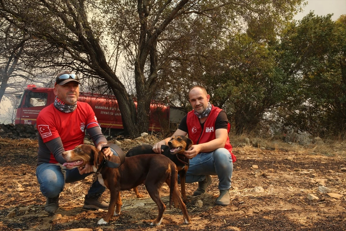 Çanakkale\'deki orman yangınında mahsur kalan köpekler kurtarıldı