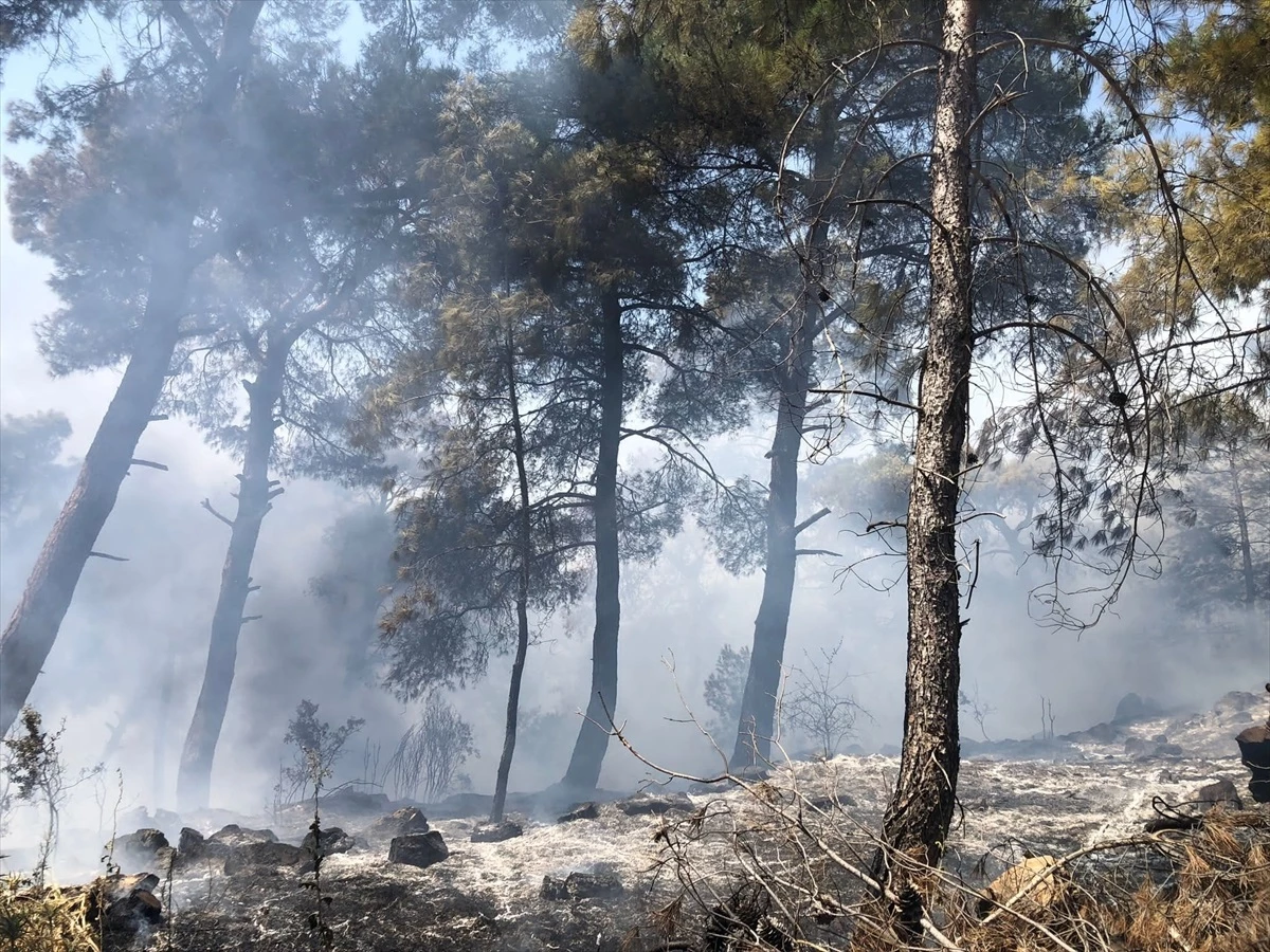 İzmir Kiraz\'da Orman Yangını Kontrol Altına Alındı