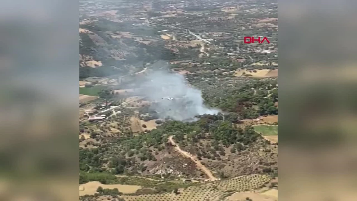 İzmir Kiraz\'da çıkan orman yangını kontrol altına alındı
