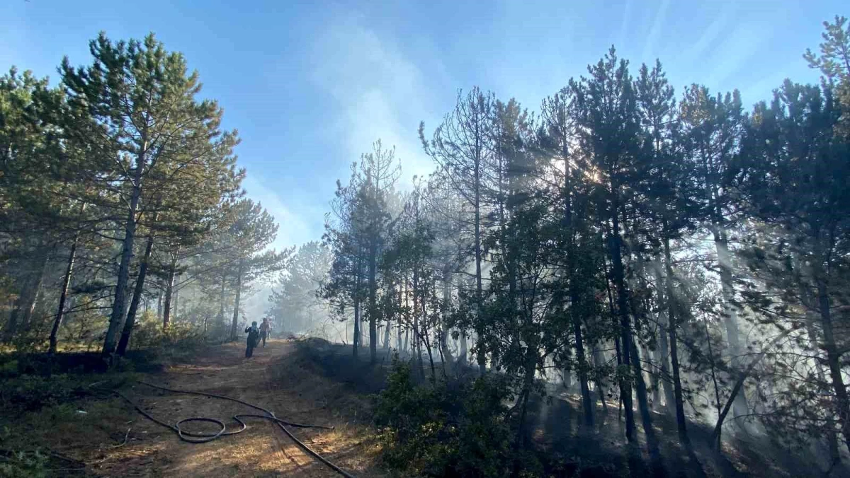 Kastamonu\'da Orman Yangını Kontrol Altına Alınmaya Çalışılıyor