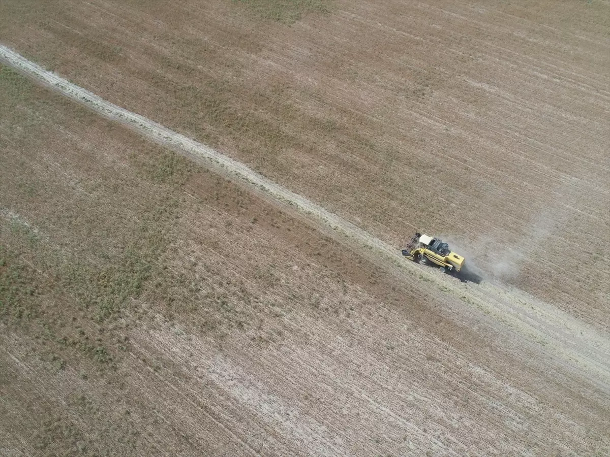 Konya Büyükşehir Belediyesi Atıl Araziyi Tarıma Kazandırıyor