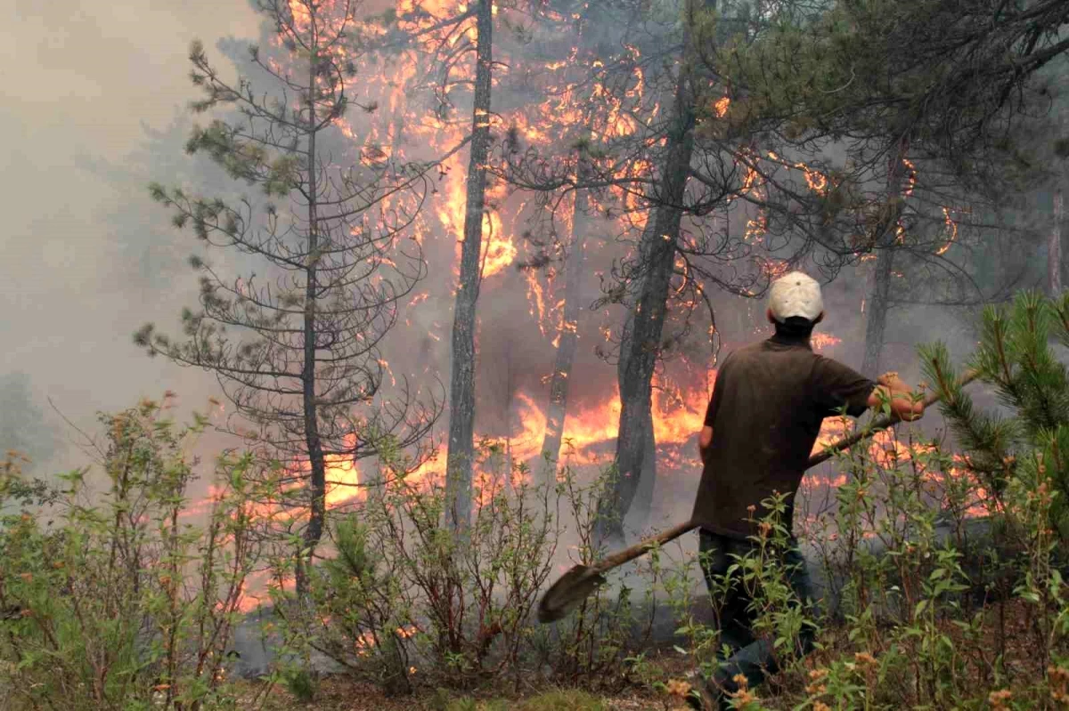Eskişehir\'de 300 Hektarlık Alanda Yangın: Müdahale Sürüyor