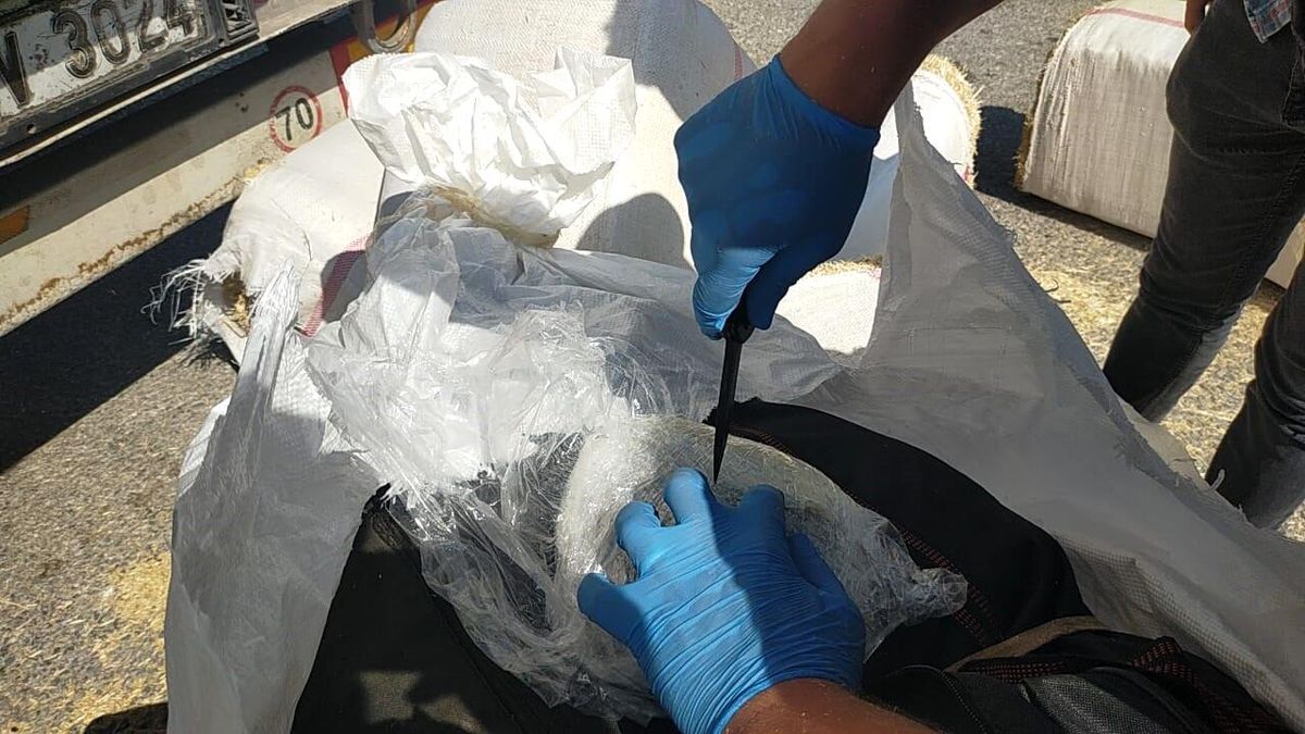 Osmaniye\'de Tırda Saklanmış 172 Kilo Skunk Ele Geçirildi