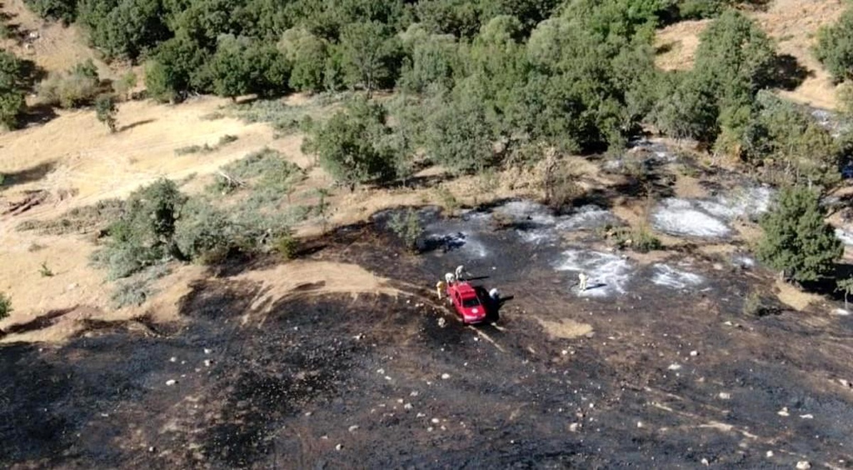 Siirt\'in Pervari ilçesinde çıkan orman yangını söndürüldü