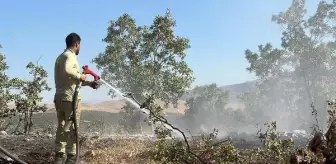 Siirt'te çıkan orman yangını 17 saatte kontrol altına alındı
