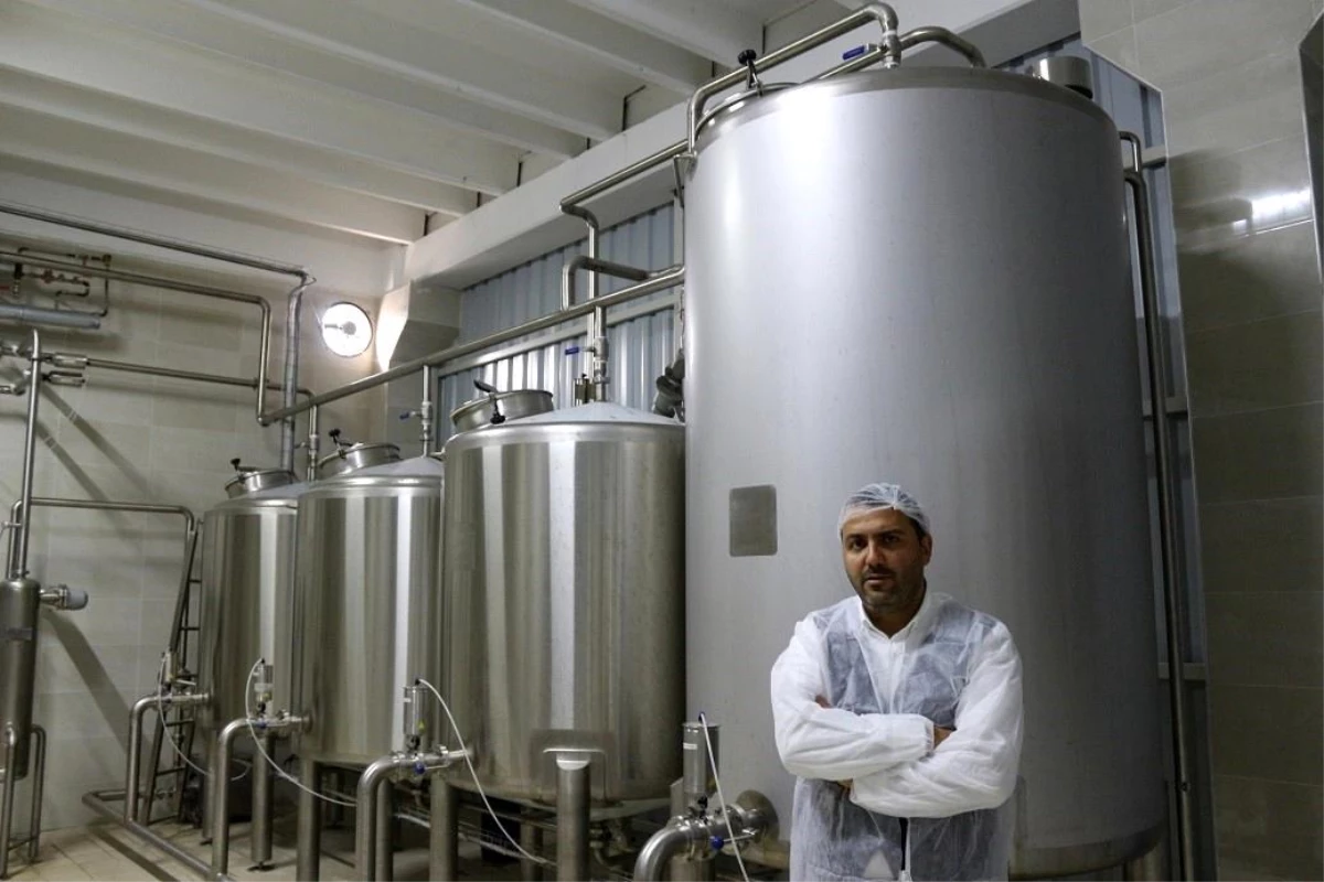 Çorum\'da Şekerleme İmalatı Yapan Firma Süt Reçeli Üretim Hattı Kurdu