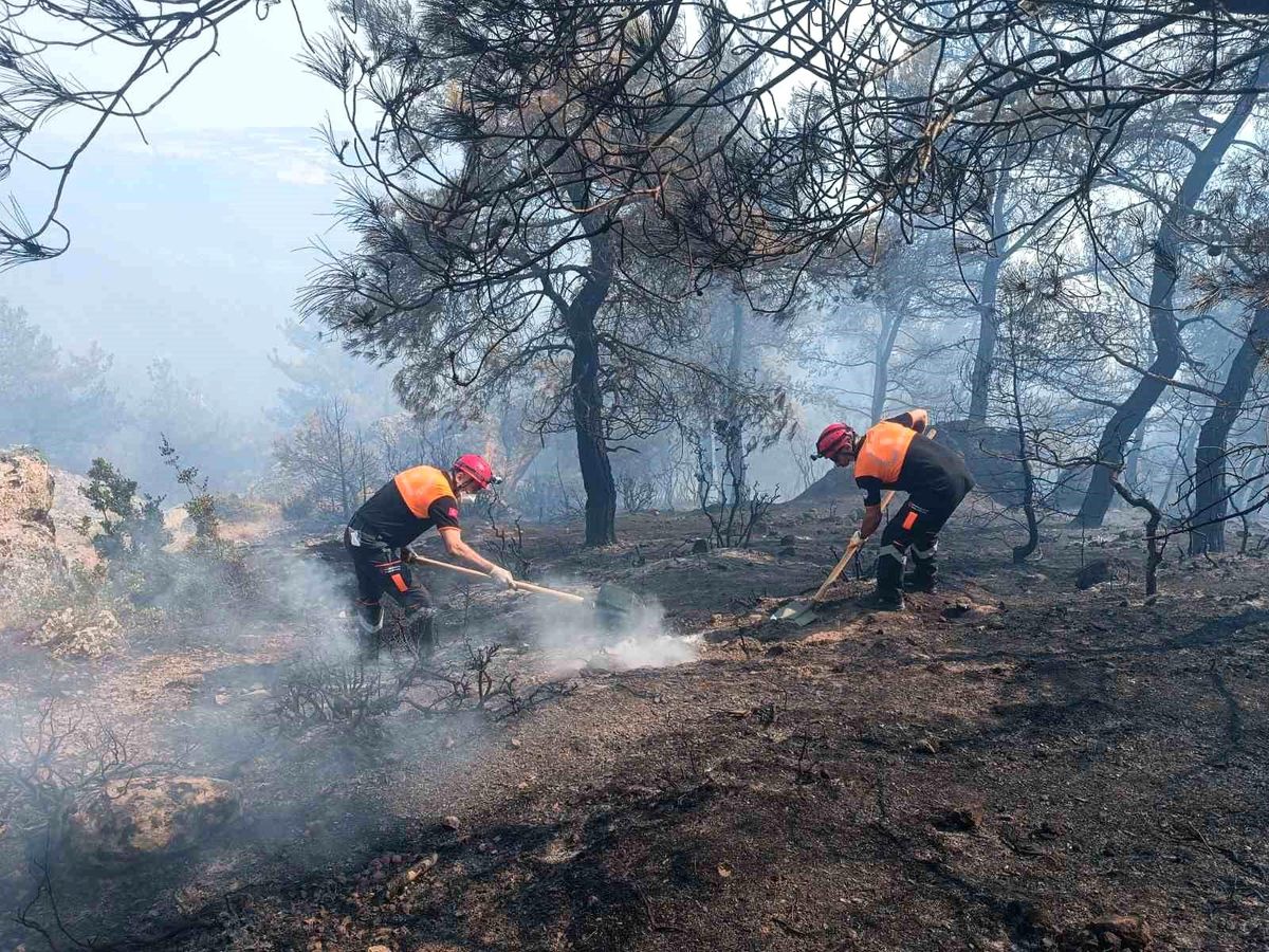 Ümraniye Belediyesi Arama Kurtarma Ekibi Çanakkale\'deki Orman Yangınına Müdahale Ediyor