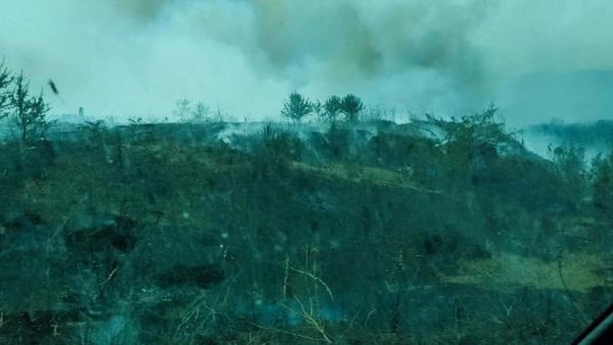Çanakkale\'de orman yakınında ot yangını