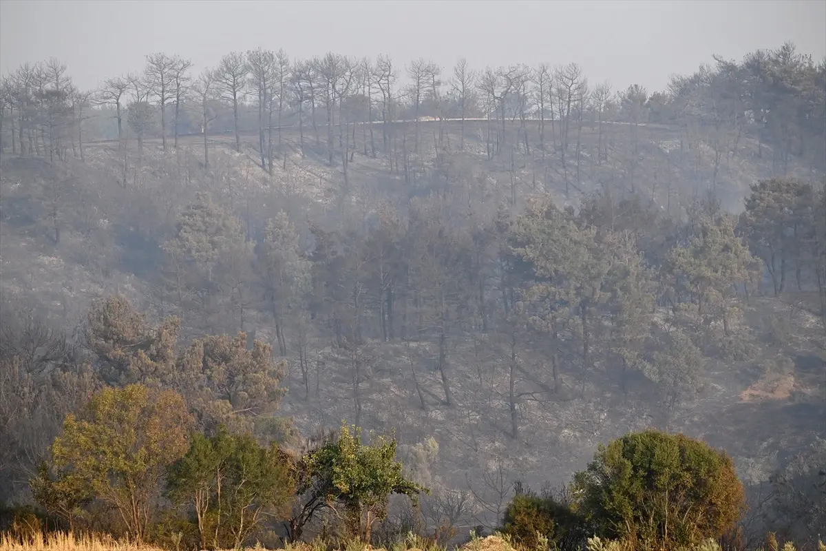 Çanakkale\'de rüzgarın etkisiyle yayılan yangına müdahale sürüyor