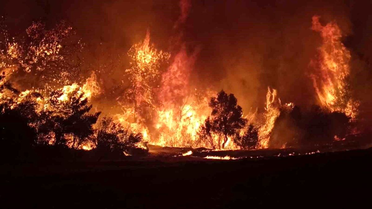 Çanakkale\'deki büyük orman yangını kontrol altında
