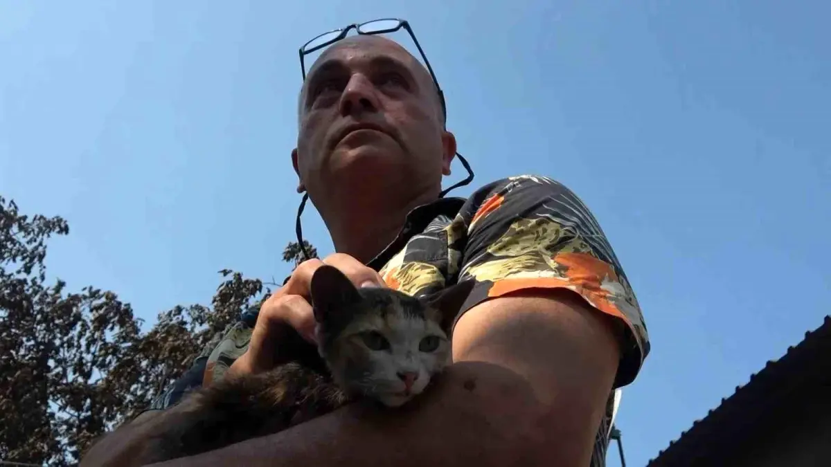 Çanakkale\'de çıkan orman yangınında iş yeri ve hayvanları küle dönen adam gözyaşlarına boğuldu