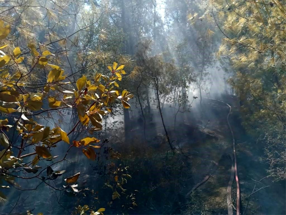 Antakya\'da çıkan orman yangını ekiplerin müdahalesiyle söndürüldü