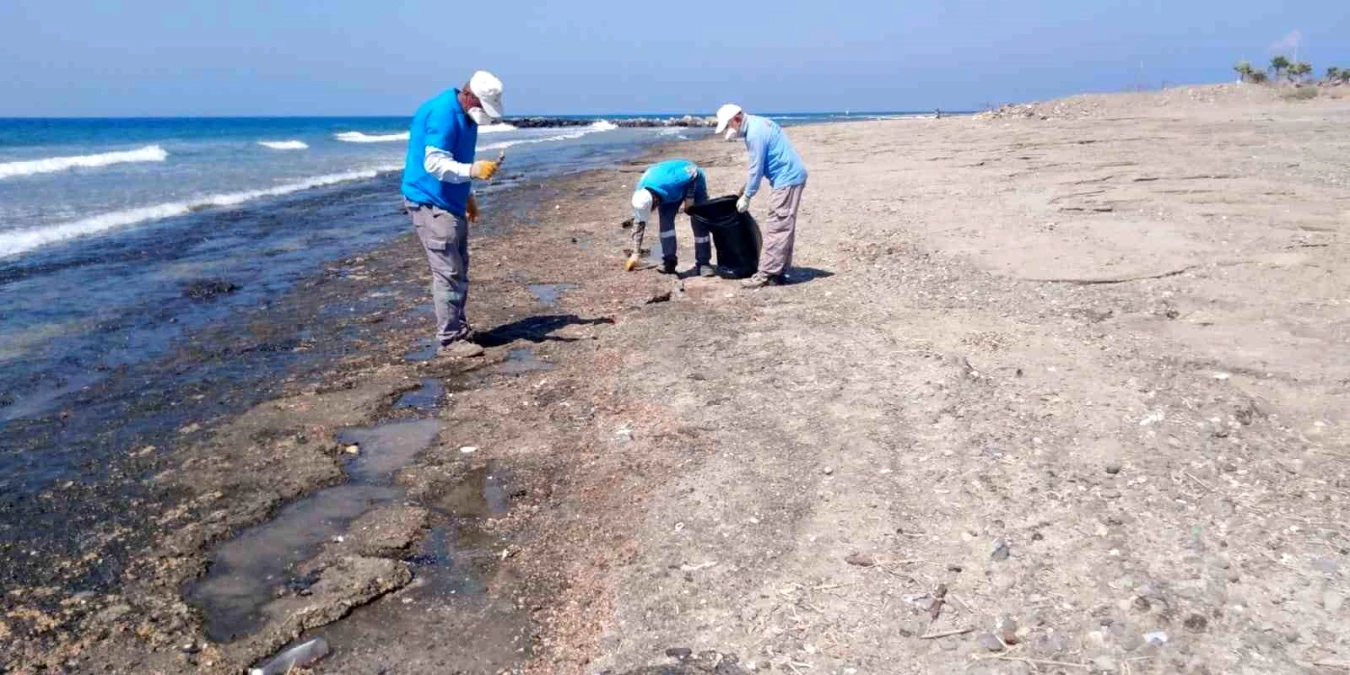 Hatay Büyükşehir Belediyesi Deniz ve Sahil Temizliği Çalışmalarına Devam Ediyor