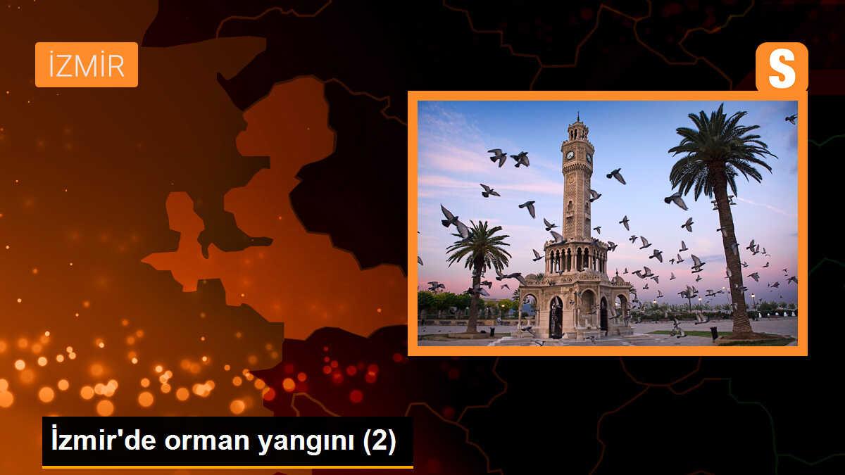 İzmir\'de orman yangını (2)