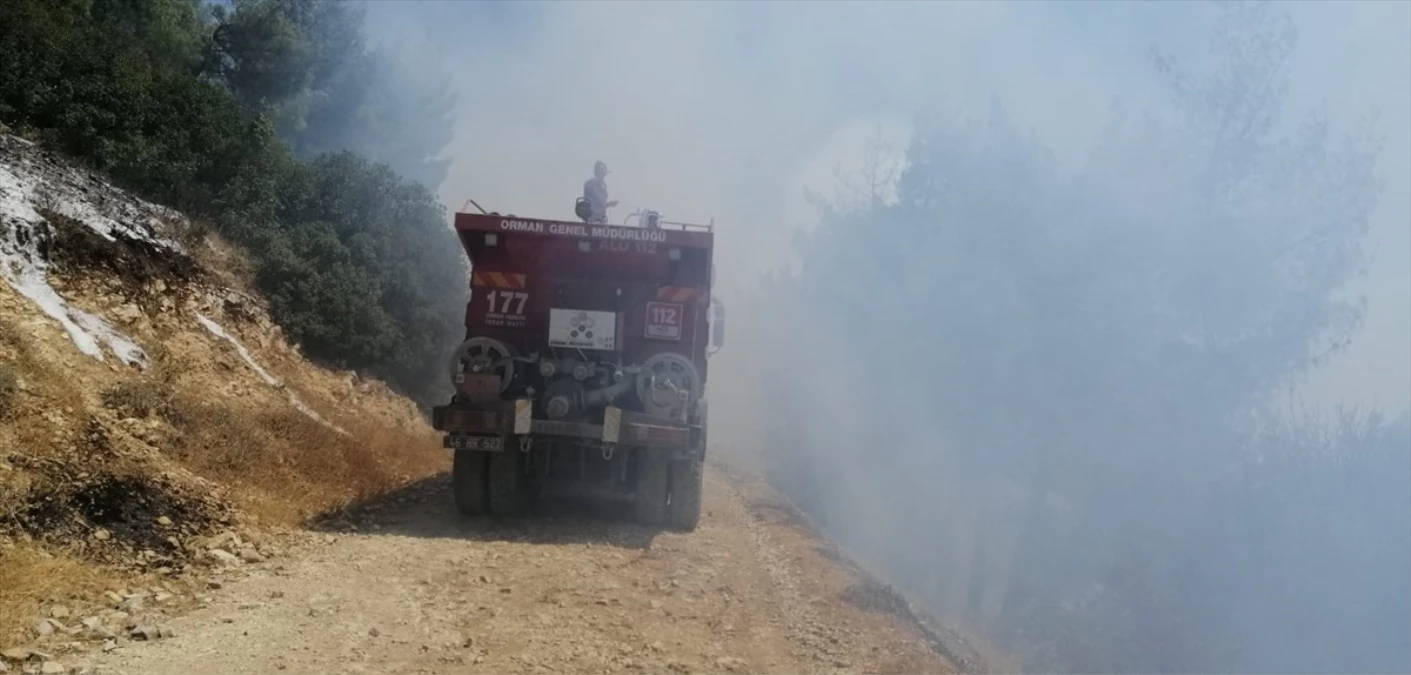 Adana\'da çıkan orman yangını kontrol altına alındı
