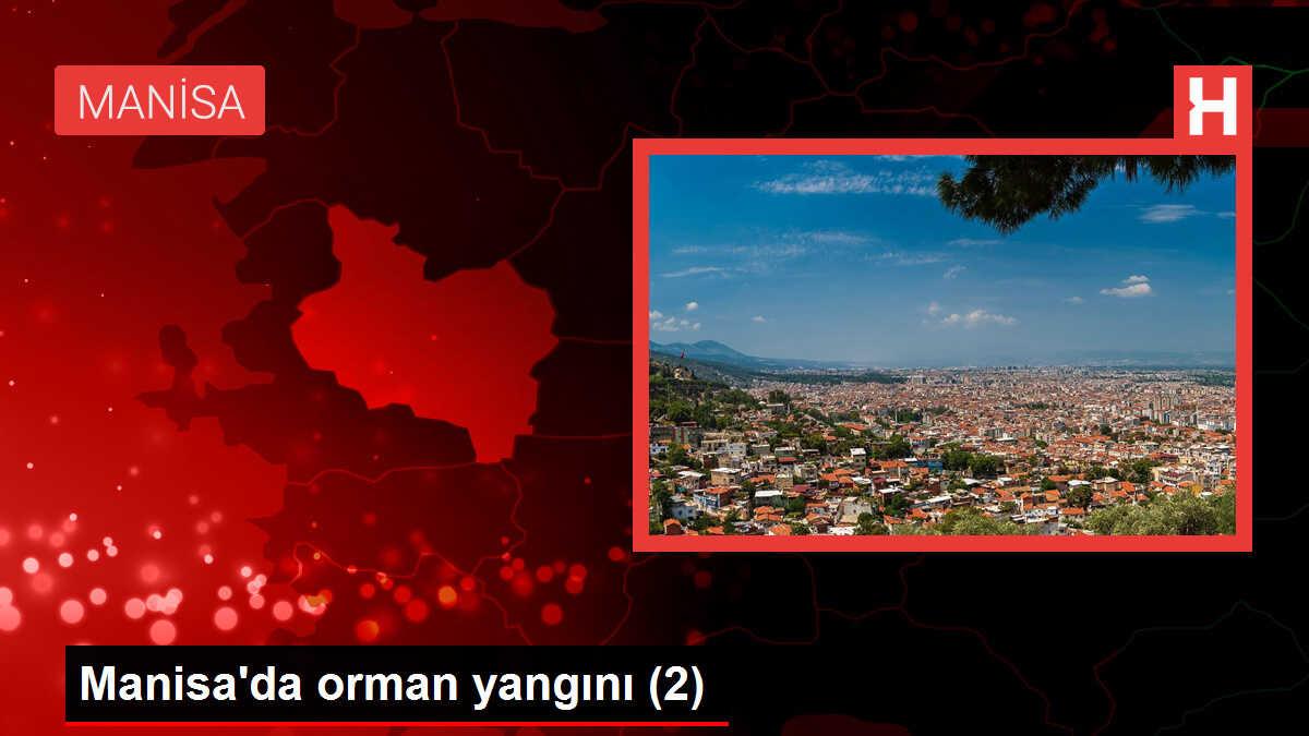 Manisa'da orman yangını (2)
