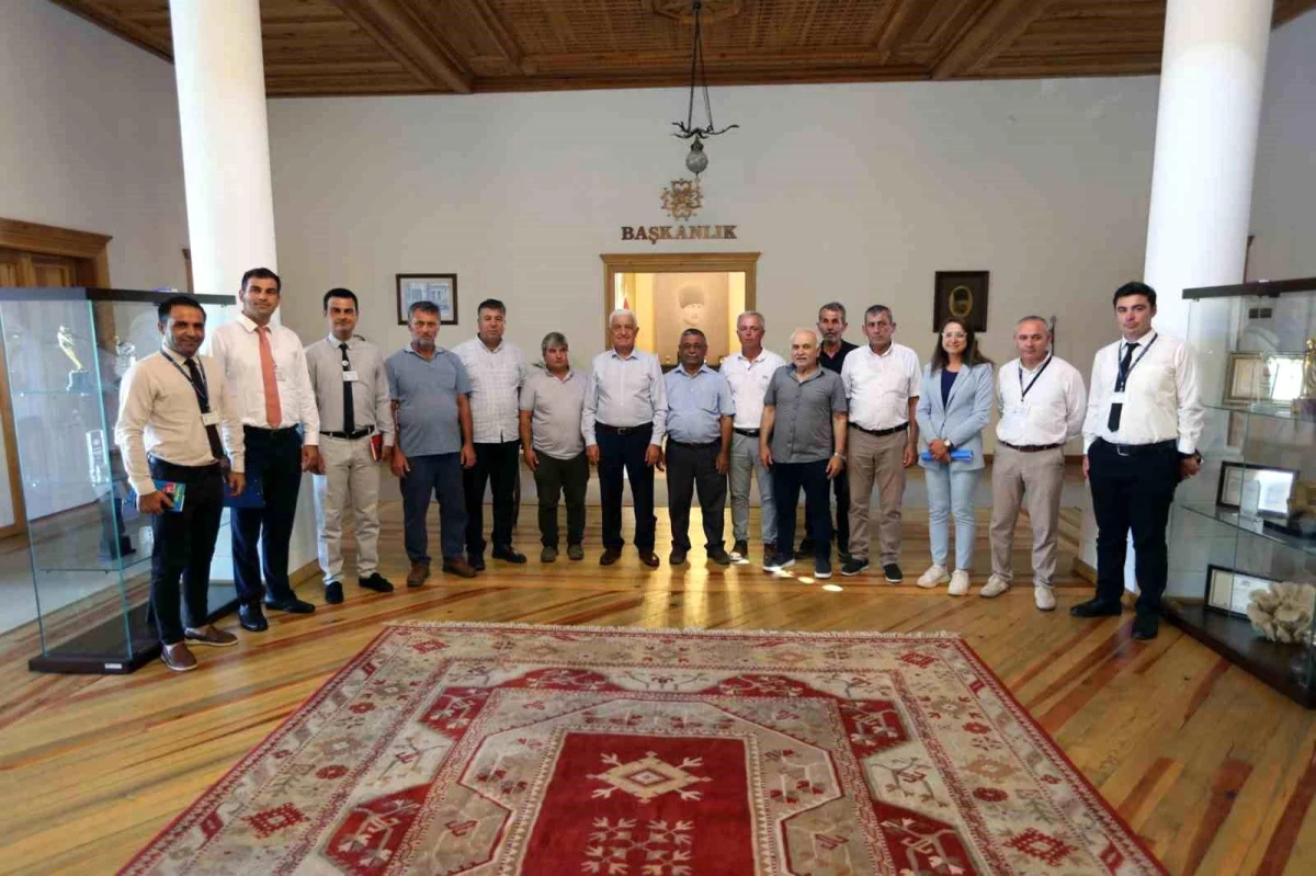 Muğla Büyükşehir Belediyesi, zeytin üreticilerine destek veriyor