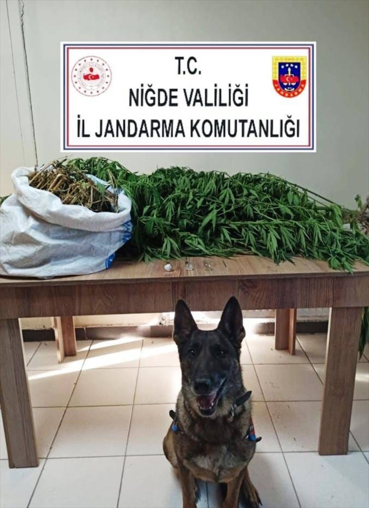 Niğde\'de Uyuşturucu Operasyonu: 2 Zanlı Gözaltına Alındı