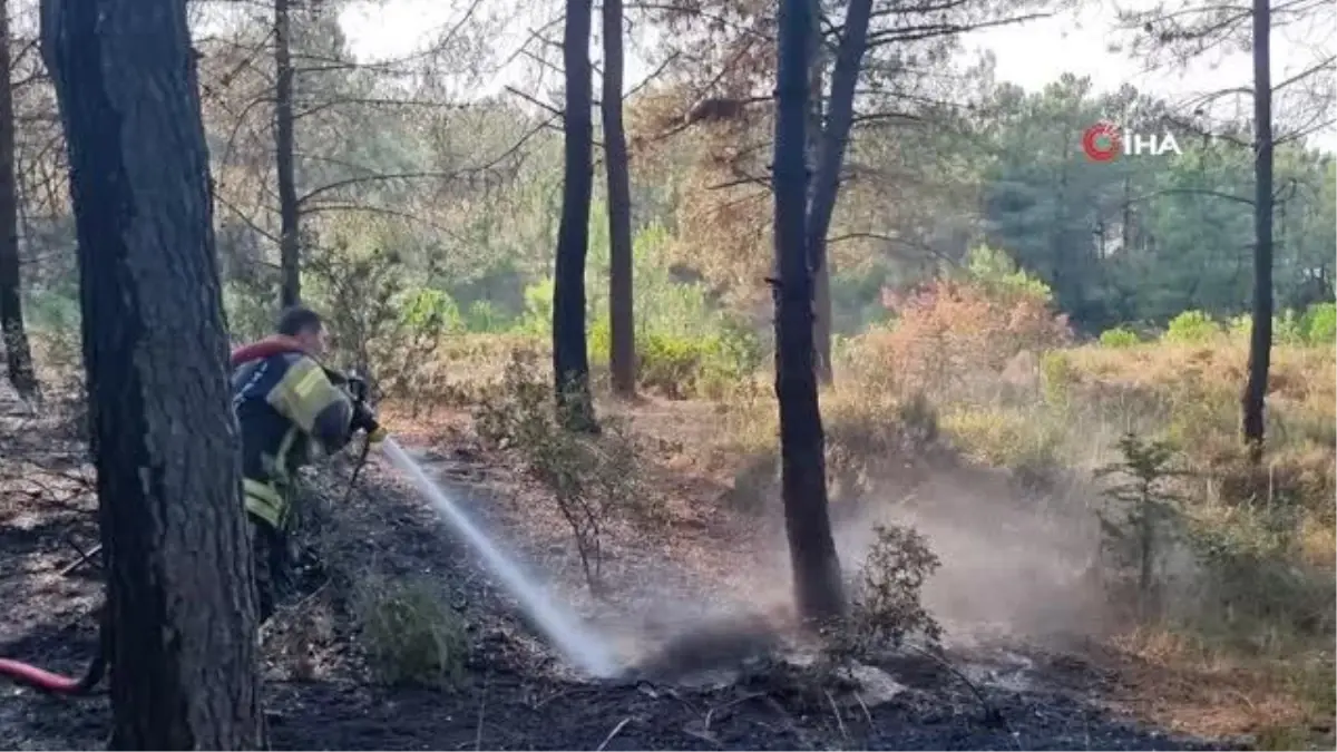 Ormanlık alanda çıkan yangın büyümeden söndürüldü