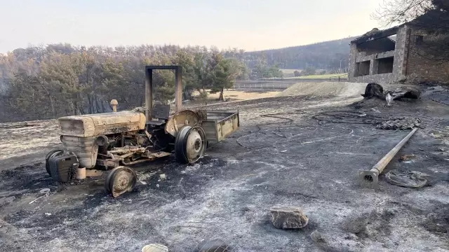 Çanakkale'deki orman yangınında acı tablo