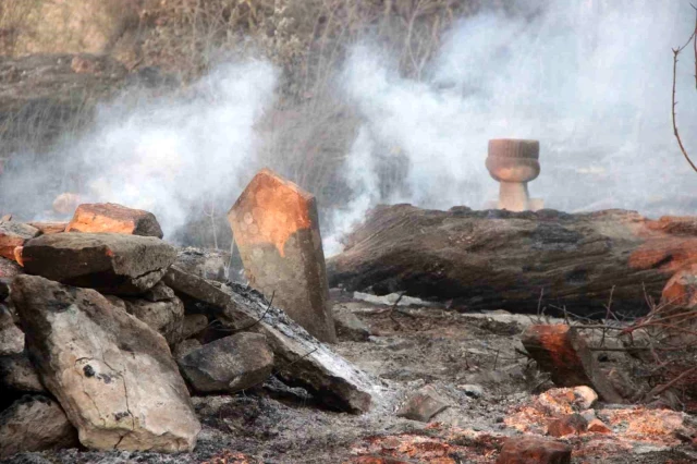 Çanakkale'deki orman yangınında acı tablo