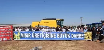 Batman'da çiftçiler mısır alım fiyatına tepki gösterdi