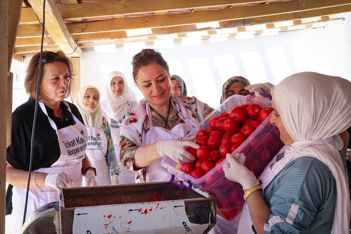 Vali Numan Hatipoğlu\'nun eşi Ayfer Hatipoğlu, kadınlarla birlikte salça yaptı