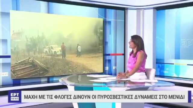 Yangın sonrası bulunan 18 cesetle ilgili Yunan spikerden kan donduran sözler: Kömürleşmiş göçmenler dışında hiçbir insanımızı kaybetmedik Yangın sonrası bulunan 18 cesetle ilgili Yunan spikerden kan donduran sözler: Kömürleşmiş göçmenler dışında hiçbir insanımızı kaybetmedik