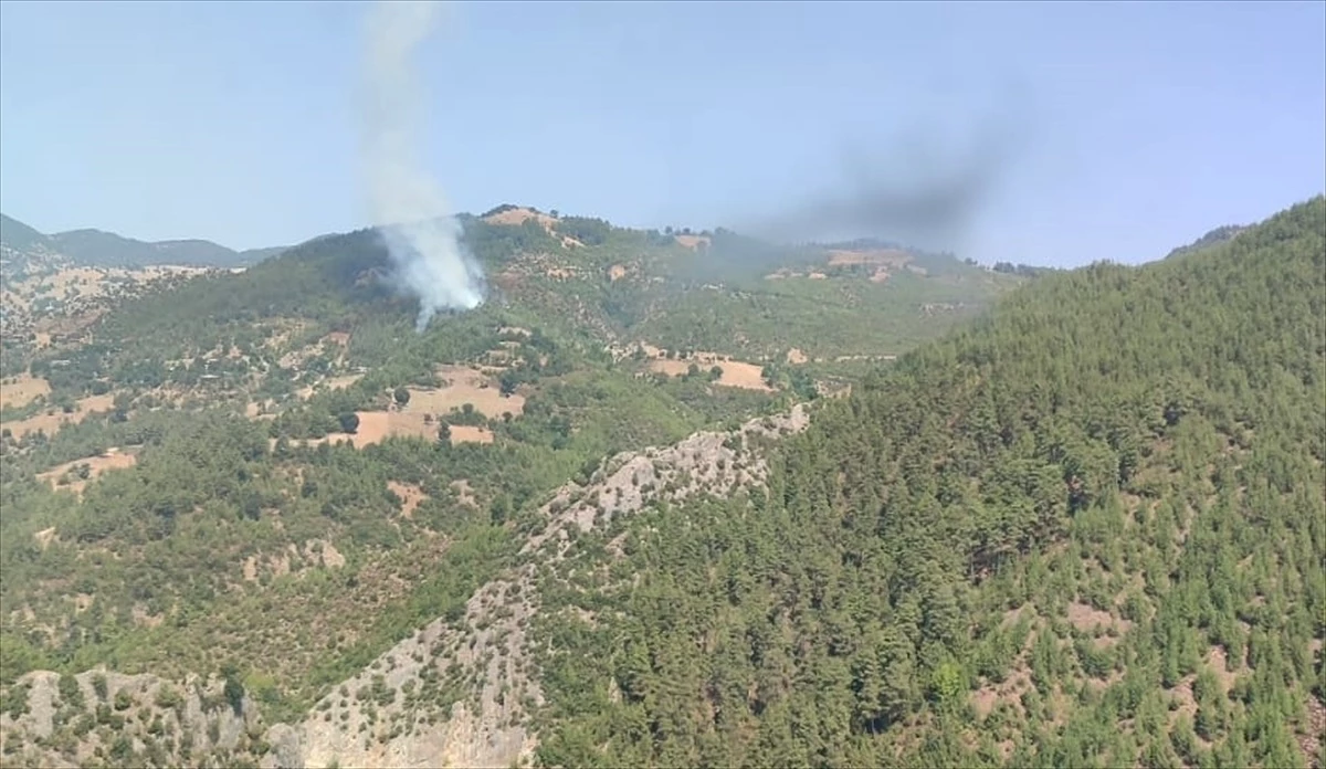 Adana\'nın Feke ilçesinde orman yangını kontrol altına alınmaya çalışılıyor