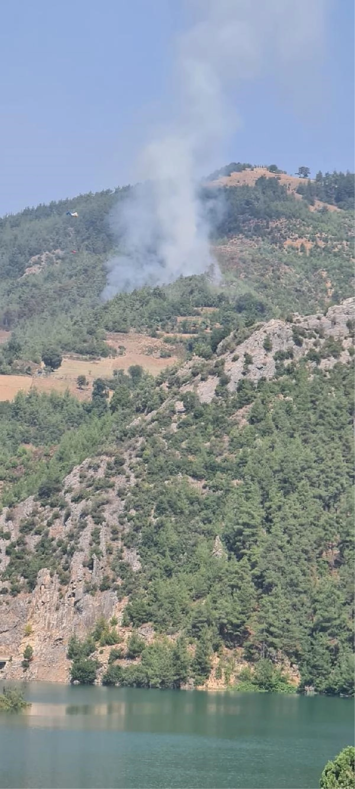 Adana\'da orman yangını (2)