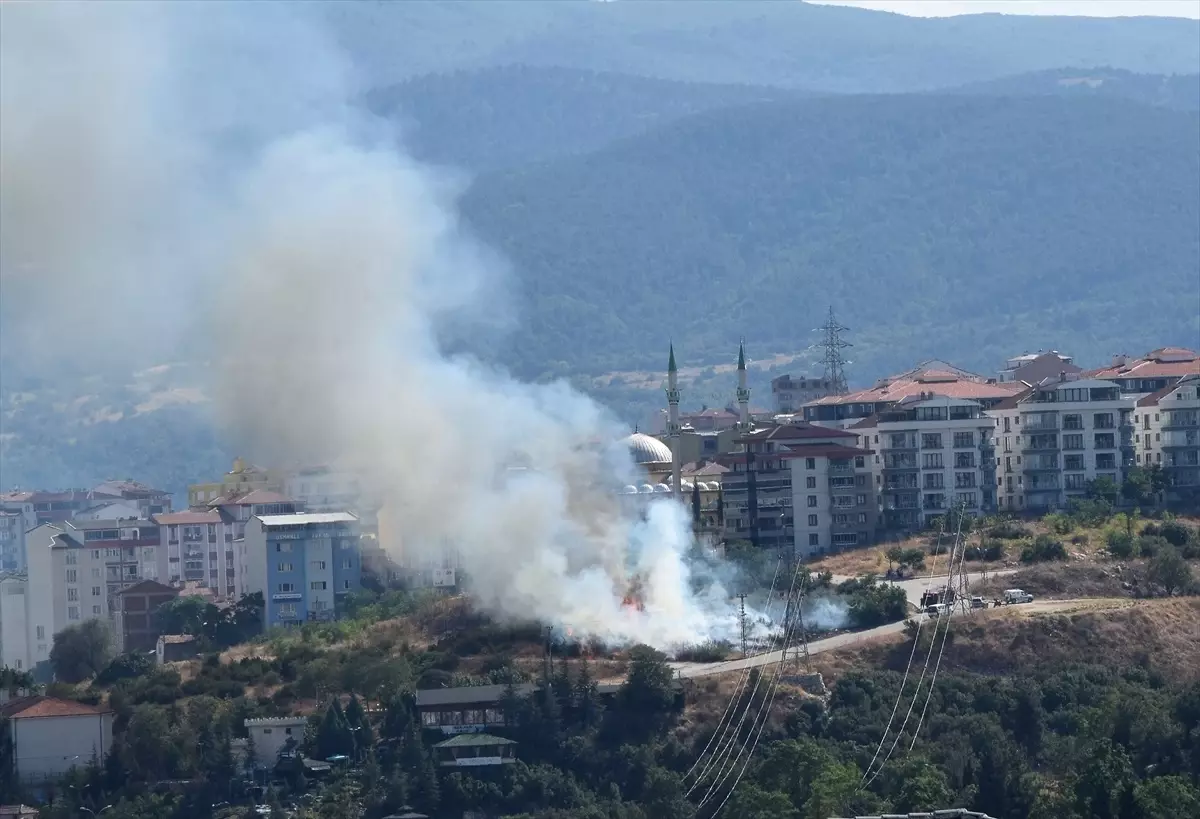 Bilecik\'te makilik alanda çıkan yangın kontrol altına alındı