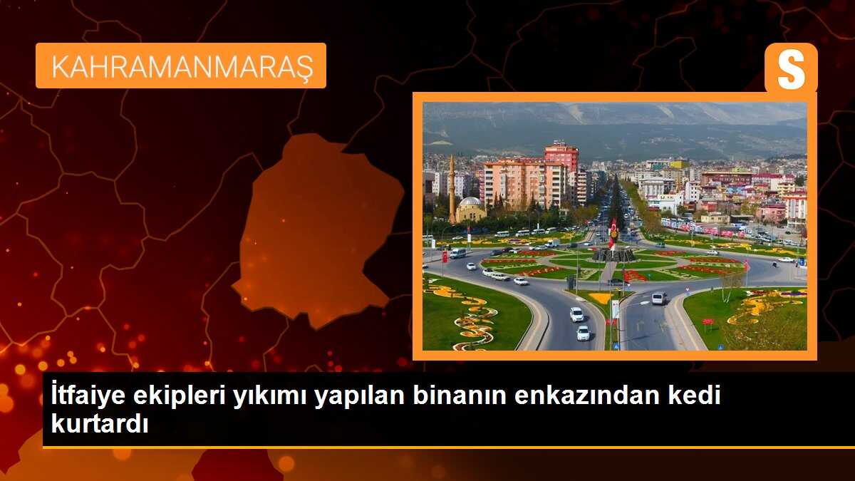 İtfaiye ekipleri yıkımı yapılan binanın enkazından kedi kurtardı