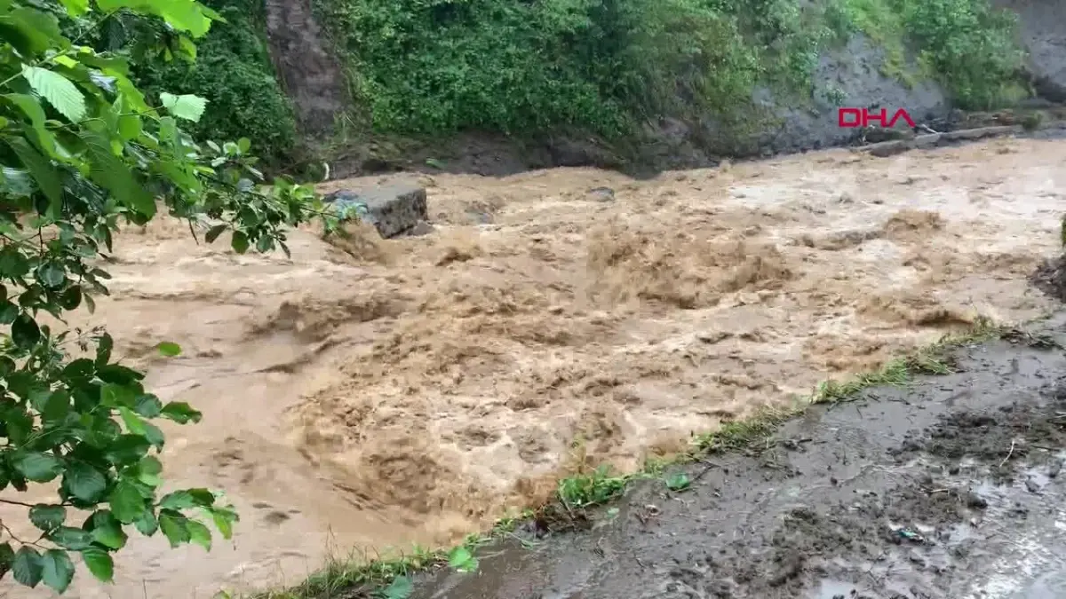 Rize\'de etkili sağanak; 1 ev yıkıldı, 8 ev boşaltıldı, 24 kişi tahliye edildi