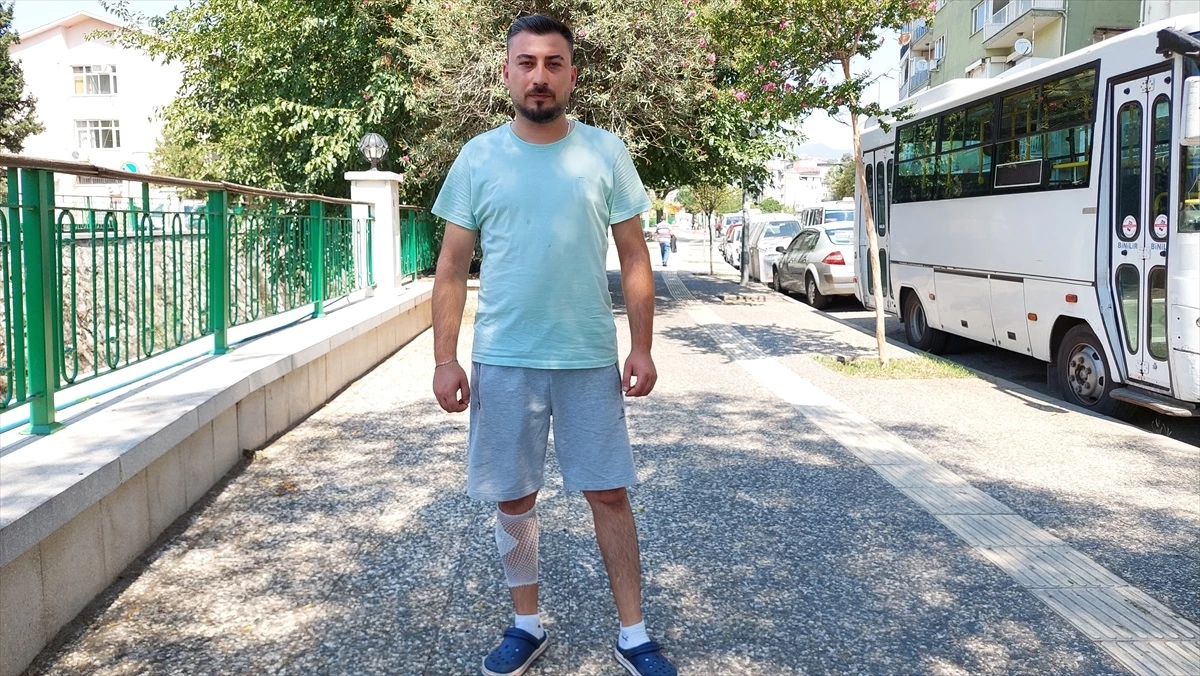 Aydın\'da sahipsiz köpeklerin saldırısında bir kişi yaralandı