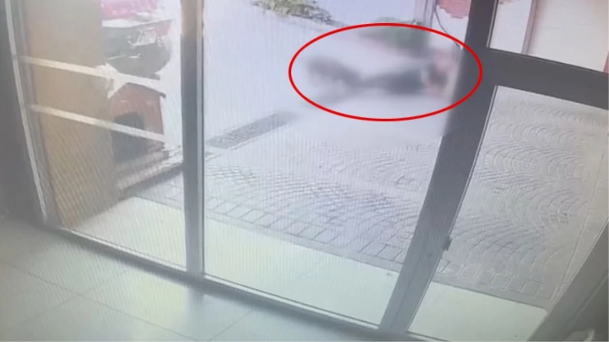 Bakırköy\'deki pitbull saldırısının görüntüleri ortaya çıktı