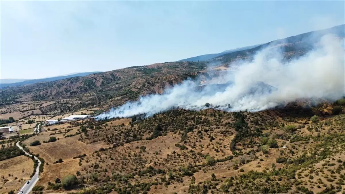 Çankırı\'da Orman Yangınına Havadan ve Karadan Müdahale Ediliyor