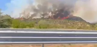 Çankırı Ilgaz'da Orman Yangını