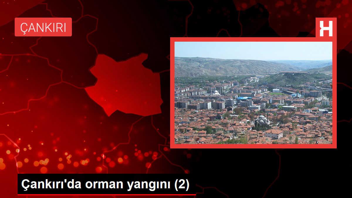 Çankırı'da orman yangını (2)