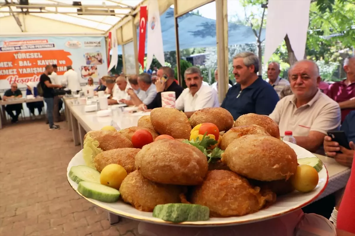 Darende\'de Geleneksel Zengibar Karakucak Güreş ve Kültür Festivali Yapıldı