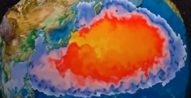 Japonya, Fukuşima'daki nükleer atık suyu denize boşaltmaya başladı