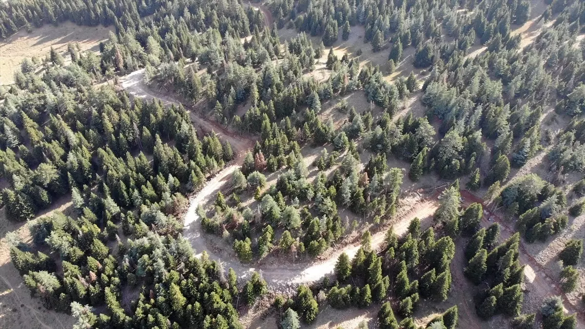 Kahramanmaraş Göksun\'da 36 kilometrelik yeni orman yolu yapıldı