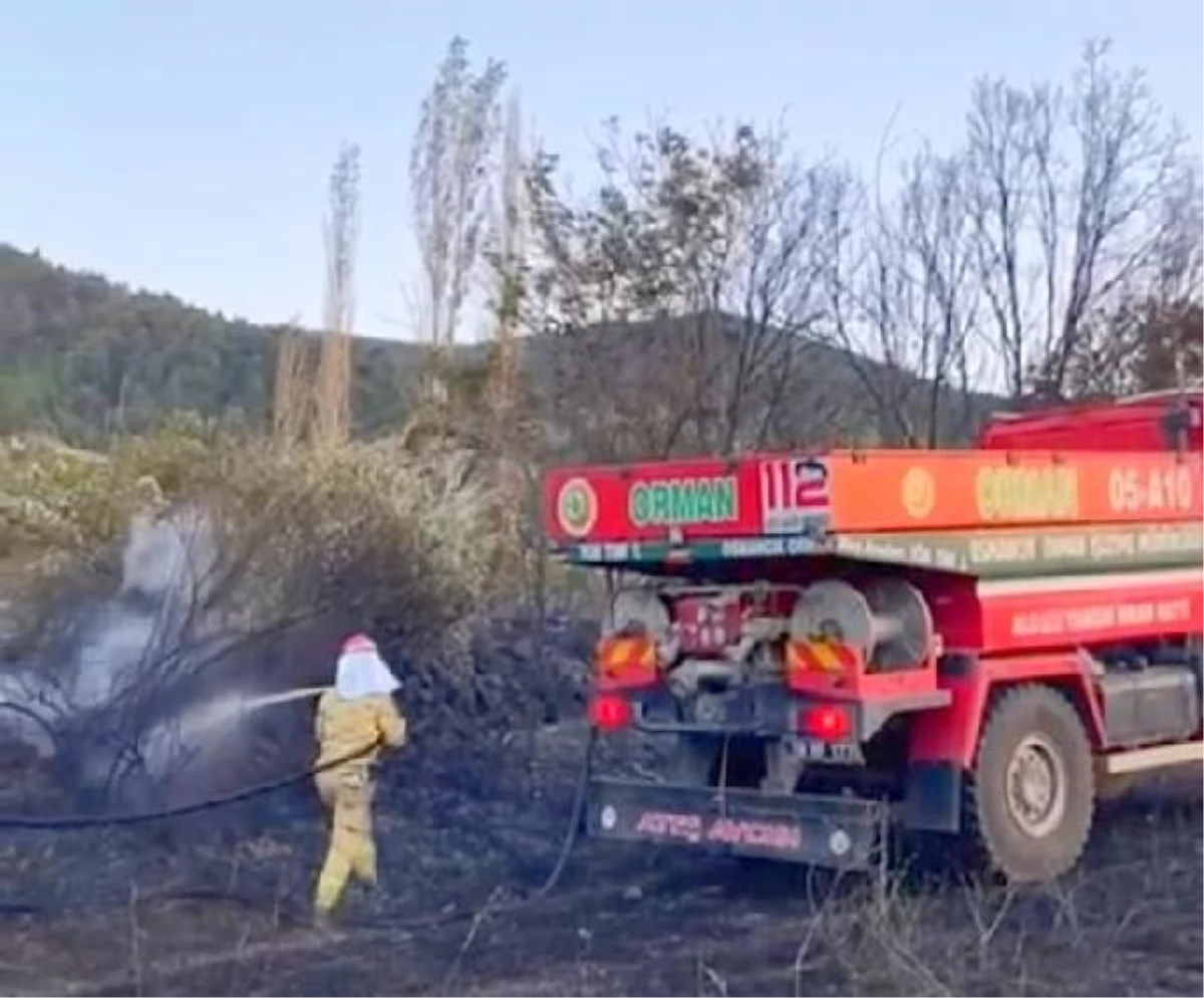 Çamlıpınar köyünde çıkan yangında 120 dönüm arazi zarar gördü