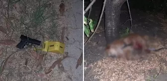 Ev sahibi kiracısını bıçaklayıp, köpeğini öldürdü