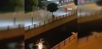 Kızılırmak'tan kovalarla su çekerek ağaçları suladı