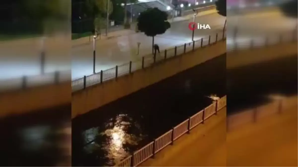 Kızılırmak\'tan kovalarla su çekerek ağaçları suladı
