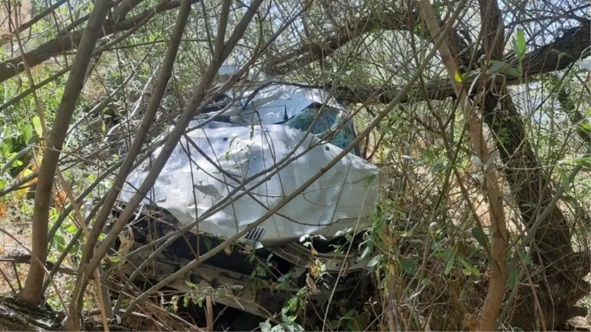 Yola atlayan başıboş köpek kazaya neden oldu: 4 ölü, 3 yaralı