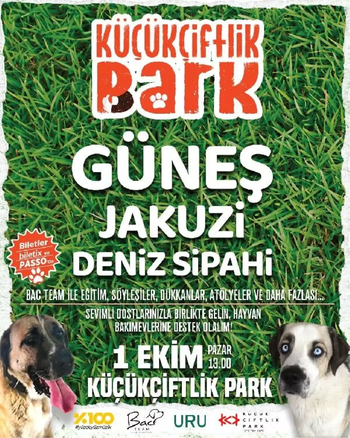 KüçükÇiftlik Bark Festivali Hayvanlar İçin Kapılarını Açıyor