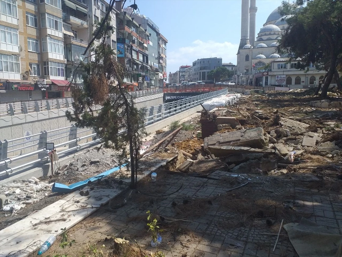 Maltepe Meydan Projesi kapsamında 17 çam ağacı söküldü